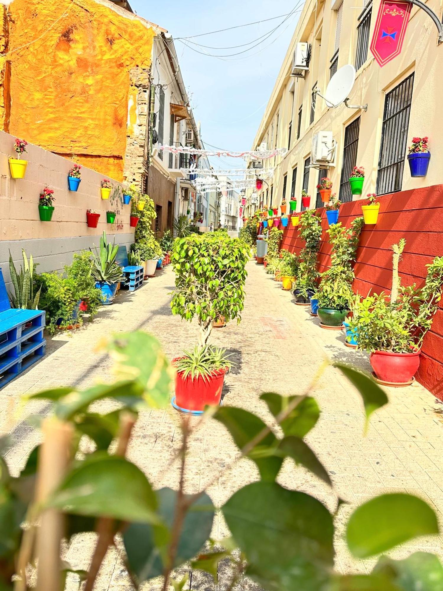 Jara Apartments ! Málaga Dış mekan fotoğraf